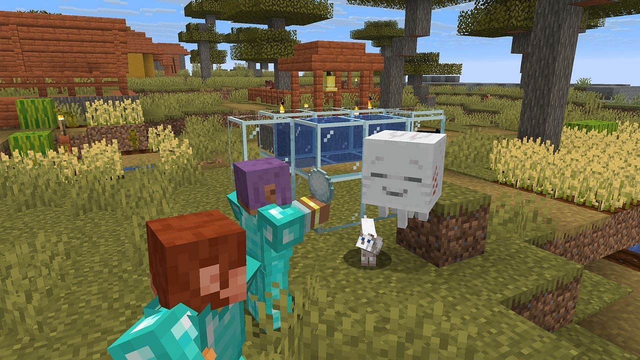 In a Savanna village, a baby Happy Ghast is being lured with a Snowball by Efe. A stray cat is also quite curious about what Efe is holding in their hands. (Image via Mojang)